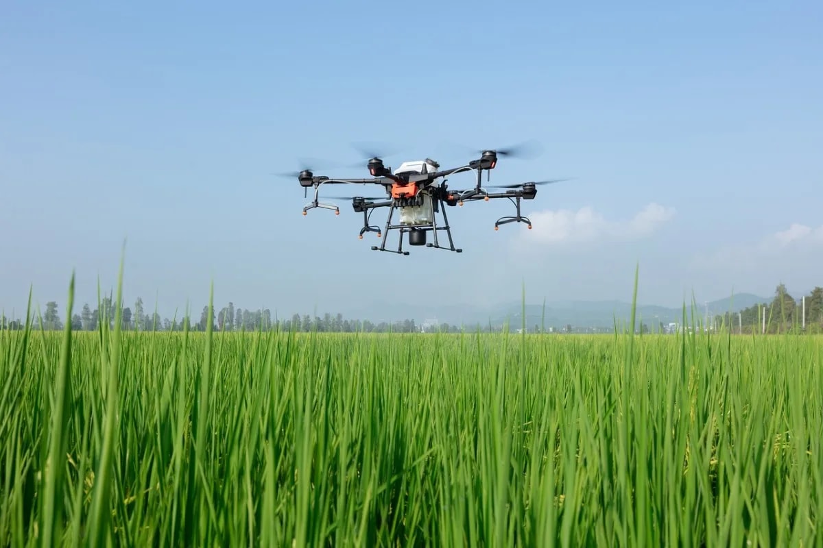 An agricultural drone spraying a crop field
