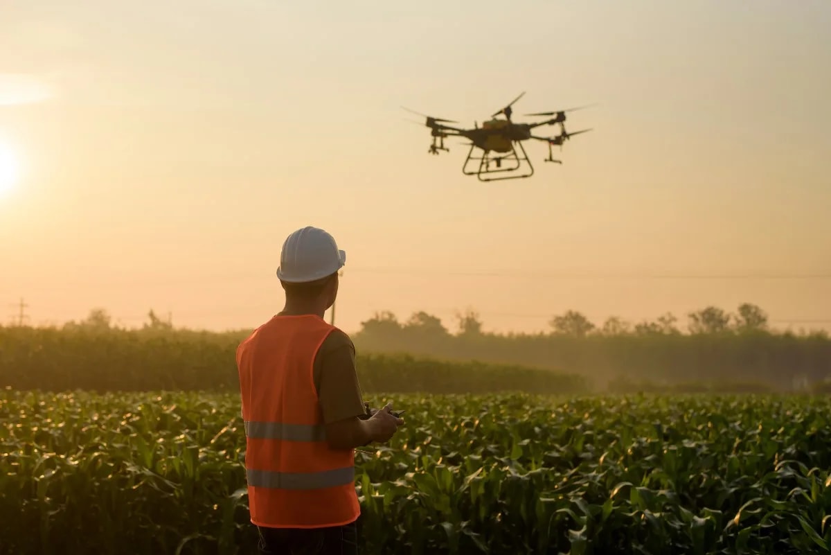A drone pilot flying an agricultural drone over a crop field