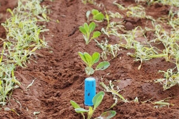 sentek-bluetooth-toprak-nem-sens