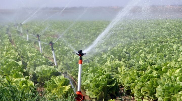 Tarımda Sulama Tasarrufu
