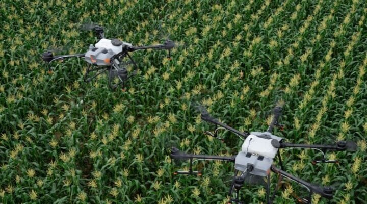 UŞUŞ SÜRESİNİ EKİLEYEN FAKTÖERLER